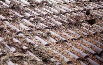 Meadowley roof cleaning companies