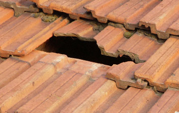 roof repair Meadowley, Shropshire