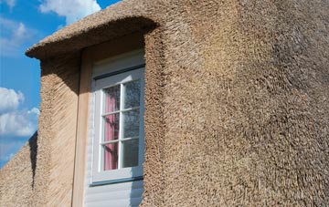 Meadowley thatch roof disadvantages